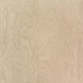 Birke Furnier  width=