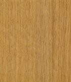 Amerikanische Eiche  width=