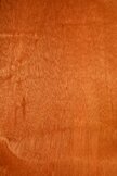 Mahogany Swietenia  width=