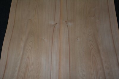 Ulme furnier 300 x 47 - 47 cm | 0.6 mm | 1,4100 m&sup2;