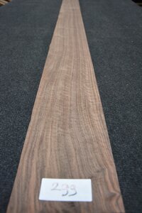 Amerikanischer Nussbaum furnier 210 x 13 - 16 cm | 0.6 mm | 0,3045 m&sup2;