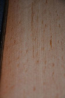Oregon Pine Furnier 215 x 27-28 cm | 0.6 mm | 0,59m&sup2;
