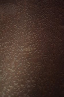 Pommele-Mahagoni Furnier 254 x 78 cm | 0.6mm | 1,982m2