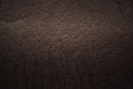 Pommele-Mahagoni Furnier 254 x 78 cm | 0.6mm | 1,982m2