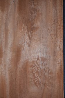Mahonie Khaya Ivorensis Furnier 254 x 52 cm | 0.6mm | 1,321m&sup2;