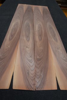 Amerikanischer Nussbaum Furnier 152 x 13 cm | 0.6mm | 0,198m&sup2;