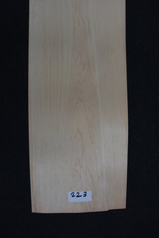 Ahorn Furnier 245 x 15-17cm | 0.6mm | 0,392m&sup2;