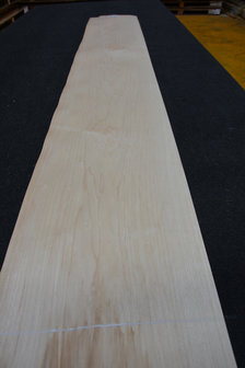 Ahorn Furnier 245 x 15-17cm | 0.6mm | 0,392m&sup2;