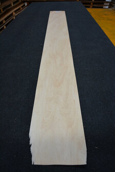 Ahorn Furnier 220 x 20-24cm | 0.6mm | 0,484m&sup2;