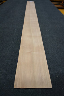 Ulme Furnier 215 x 16-17 cm | 0.6mm| 0,355m2