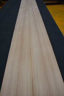 Ulme Furnier 300 x 21 cm | 0.6mm| 0,630m2
