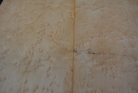 Ahorn Furnier 93 x 21-22 cm | 0.6mm | 0,200 m2 | Birdseye Maple VogelaugenAhorn