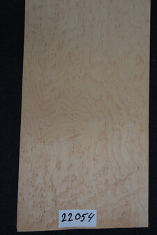 Ahorn Furnier 76 x 25cm | 0,188 m2 | 0.6 mm | Birdseye Maple Vogelaugen Ahorn