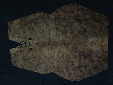 Wurzelholz furnier 100 x 20 - 19 cm | 0.6 mm | 0,295 m&sup2;