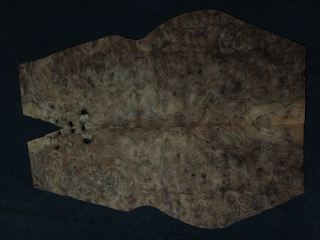 Wurzelholz furnier 100 x 20 - 19 cm | 0.6 mm | 0,295 m&sup2;