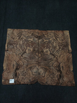 Wurzelholz furnier 67 x 38 - 38 cm | 0.6 mm | 0,3819 m&sup2;