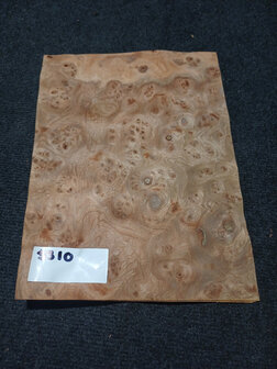 Ulmenwurzelholz furnier 32 x 23 - 23 cm | 0.6 mm | 0,1104 m&sup2;