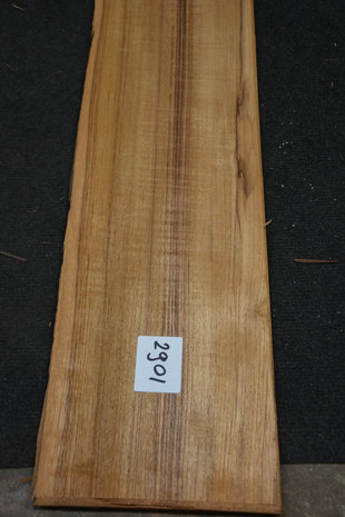 Teakholz Furnier 410 x 17-19 cm | 0.6 mm | 0,738m²