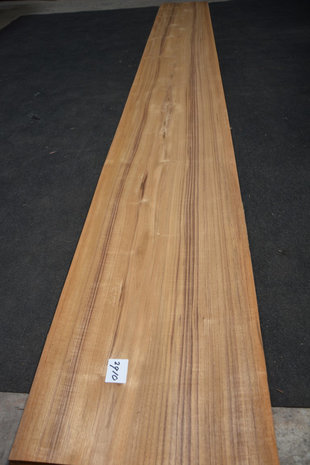 Teakholz Furnier 410 x 45-48 | 0.6 mm | 1,906m²