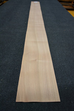 Ulme Furnier 215 x 16-17 cm | 0.6mm| 0,355m2