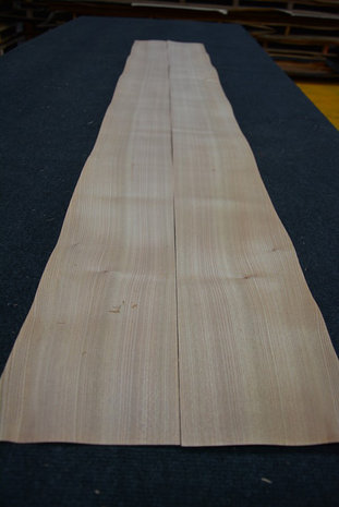 Ulme Furnier 215 x 16-17 cm | 0.6mm| 0,355m2