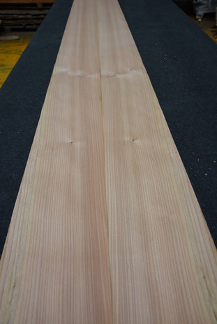 Ulme Furnier 300 x 21 cm | 0.6mm| 0,630m2