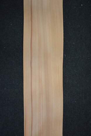 Ulme Furnier 280 x 20 cm | 0.6mm| 0,560m2