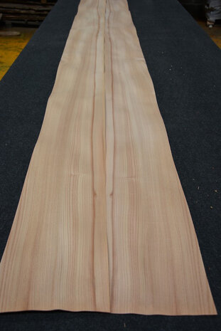 Ulme Furnier 280 x 20 cm | 0.6mm| 0,560m2