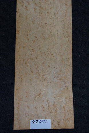Ahorn Furnier 93 x 21-22 cm | 0.6mm | 0,200 m2 | Birdseye Maple VogelaugenAhorn