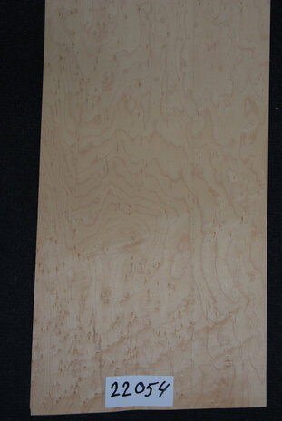 Ahorn Furnier 76 x 25cm | 0,188 m2 | 0.6 mm | Birdseye Maple Vogelaugen Ahorn
