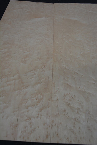Ahorn Furnier 76 x 25cm | 0,188 m2 | 0.6 mm | Birdseye Maple Vogelaugen Ahorn