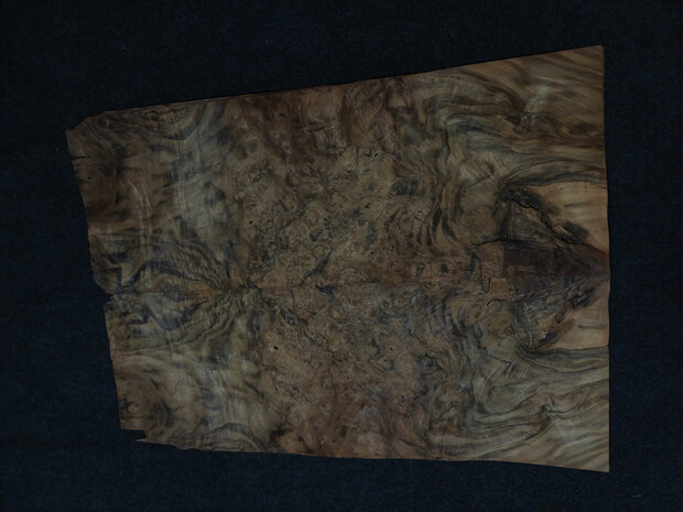 Wurzelholz furnier 74 x 26 - 26 cm | 0.6 mm | 0,2886 m&sup2;