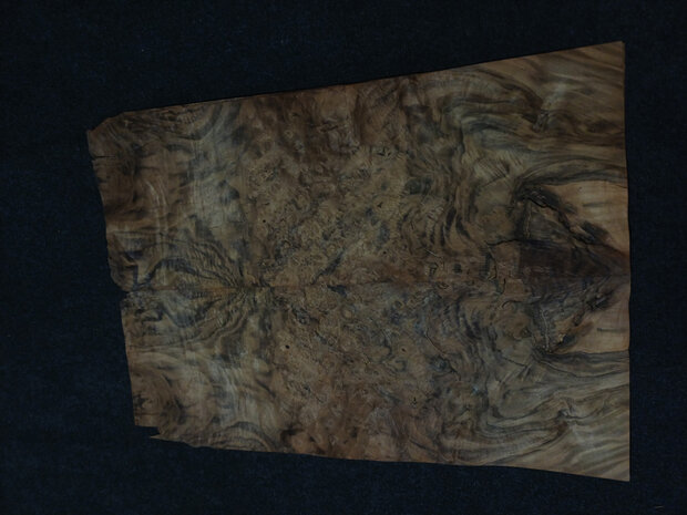 Wurzelholz furnier 74 x 26 - 26 cm | 0.6 mm | 0,2886 m&sup2;