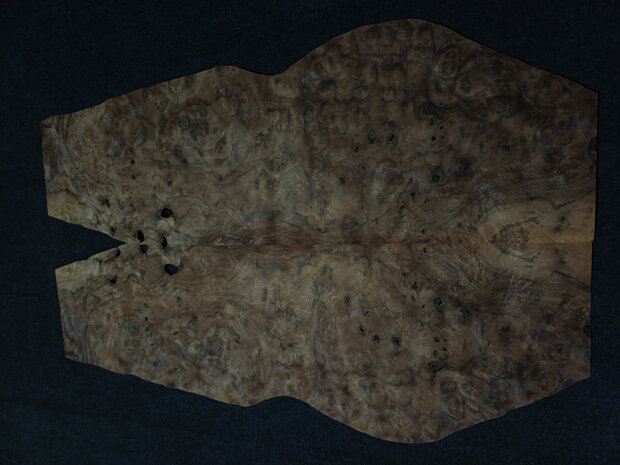 Wurzelholz furnier 100 x 20 - 19 cm | 0.6 mm | 0,295 m&sup2;