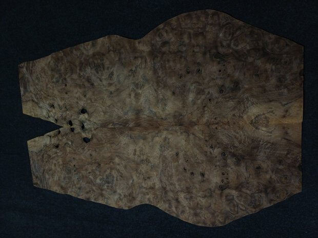 Wurzelholz furnier 100 x 20 - 19 cm | 0.6 mm | 0,295 m&sup2;