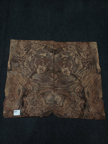 Wurzelholz furnier 67 x 38 - 38 cm | 0.6 mm | 0,3819 m&sup2;