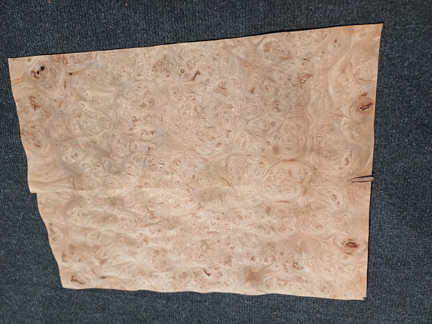 Ulmenwurzelholz furnier 43 x 16 - 17 cm | 0.6 mm | 0,1054 m&sup2;