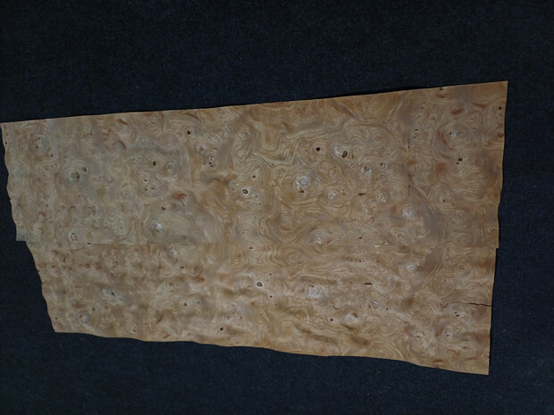 Ulmenwurzelholz furnier 44 x 26 - 26 cm | 0.6 mm | 0,1716 m&sup2;