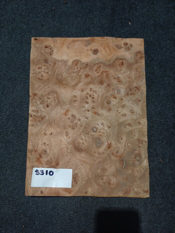 Ulmenwurzelholz furnier 32 x 23 - 23 cm | 0.6 mm | 0,1104 m&sup2;
