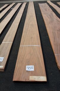 Amerikanischer Nussbaum Furnier 283 x 14-20 cm | 0.6mm |0,566m² Amerikanischer Nussbaum Furnier 283 x 14-20 cm | 0.6mm |0,566m²