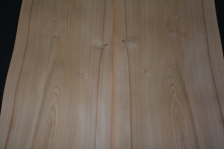 Ulme Furnier 300 x 47 cm | 0.6mm | 1,410m2 Ulme Furnier 300 x 47 cm | 0.6mm | 1,410m2