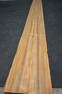 Teakholz Furnier 410 x 17-19 cm | 0.6 mm | 0,738m² Teakholz Furnier 410 x 17-19 cm | 0.6 mm | 0,738m²